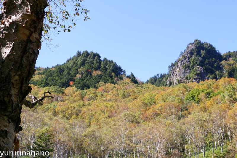 志賀高原-紅葉, 山ノ内町-trekking-志賀高原でトレッキング　幕岩を歩いてきました