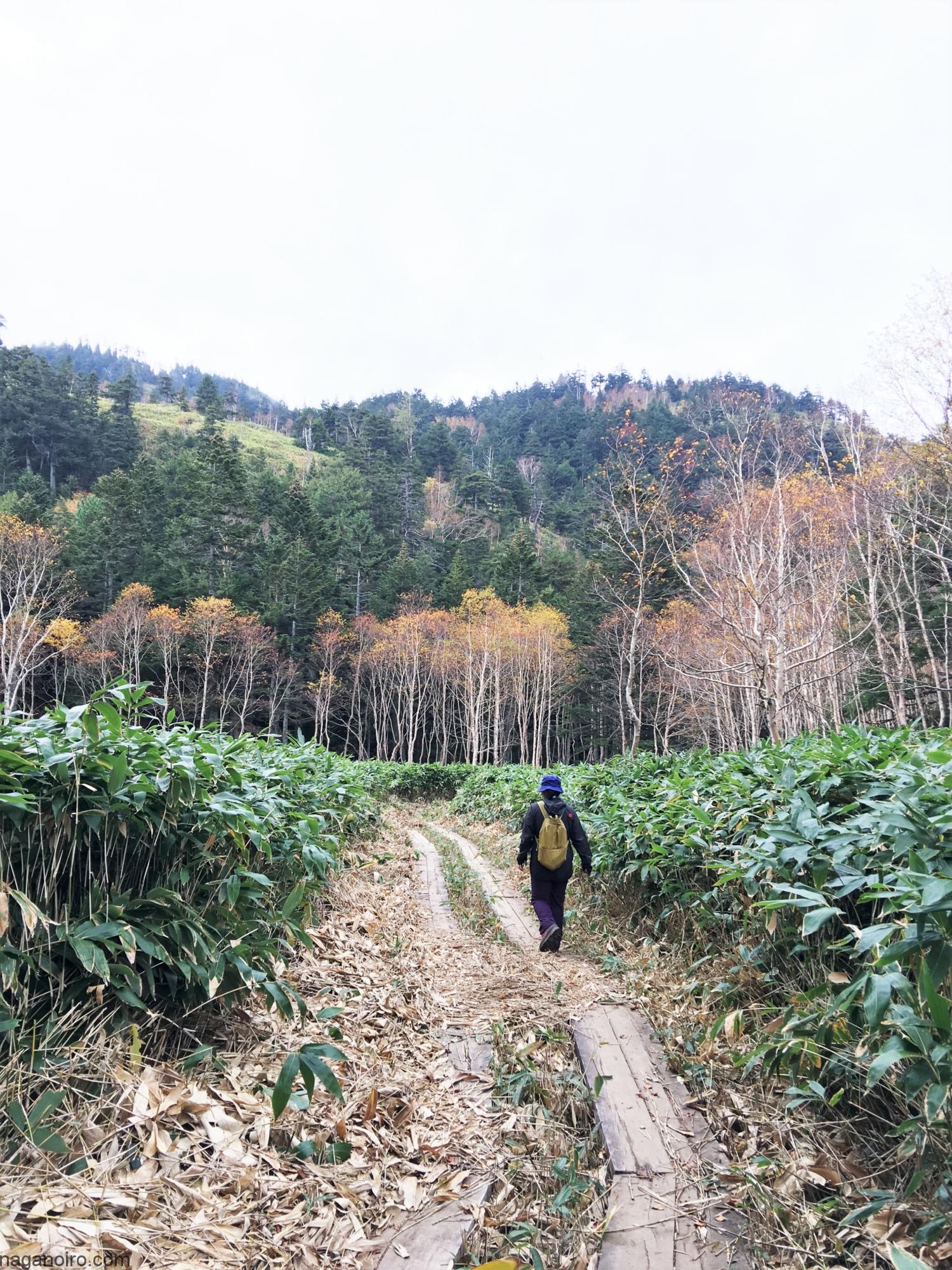 志賀高原-山ノ内町-trekking-志賀山に登ってみました