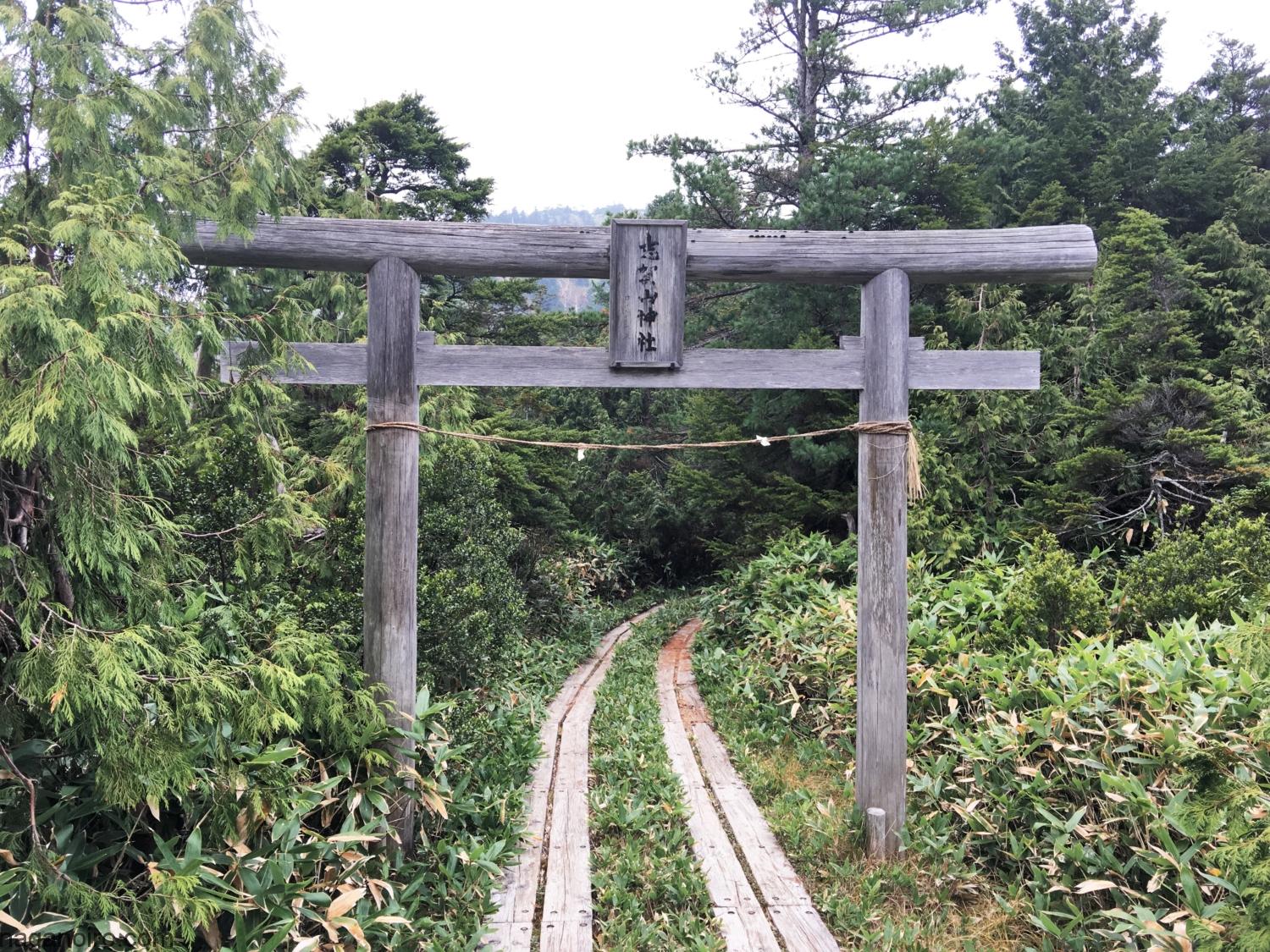 志賀高原-山ノ内町-trekking-志賀山に登ってみました