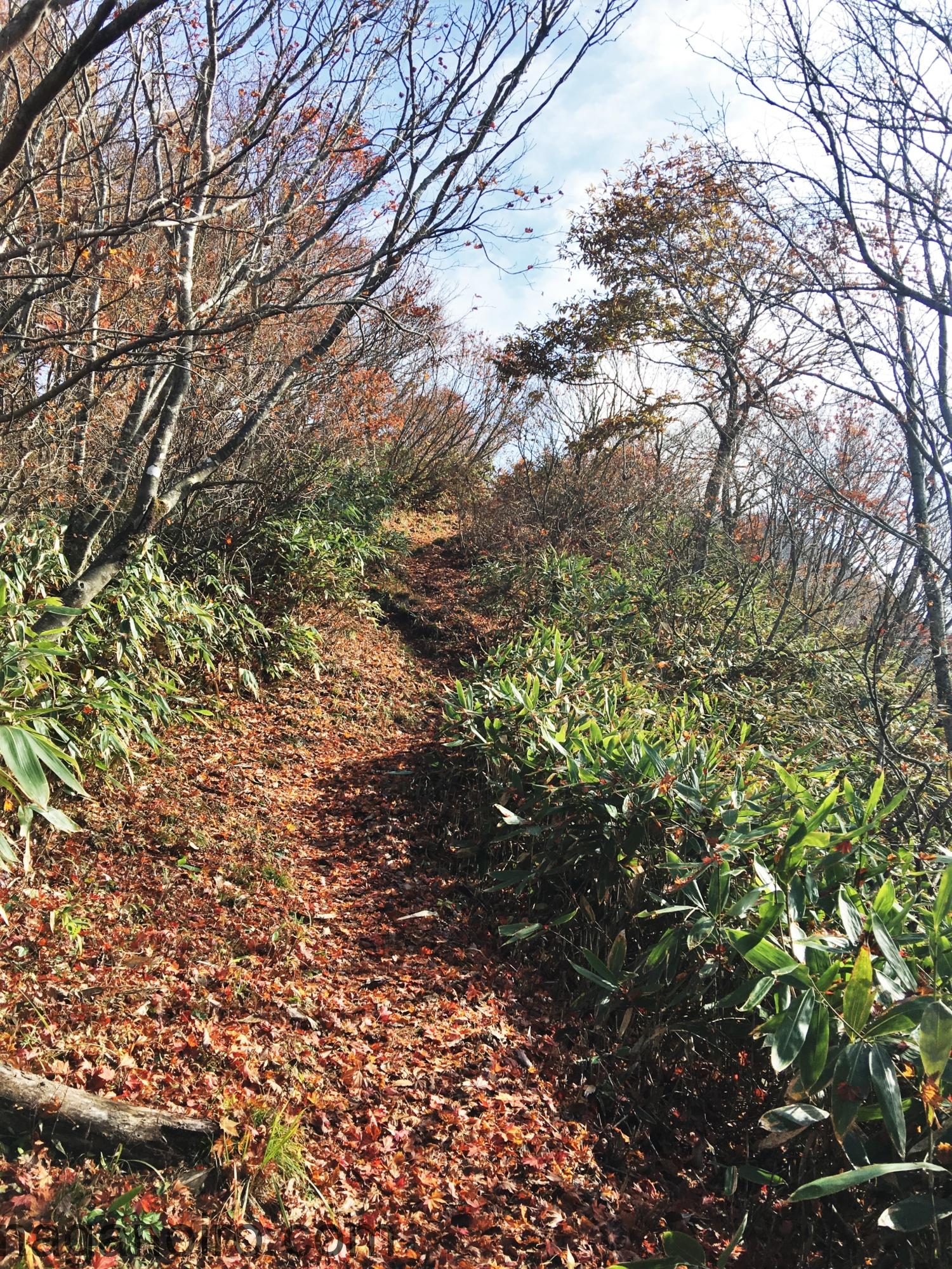 志賀高原-中野市-trekking-中野市のシンボル　高社山へ登山にでかけてみました