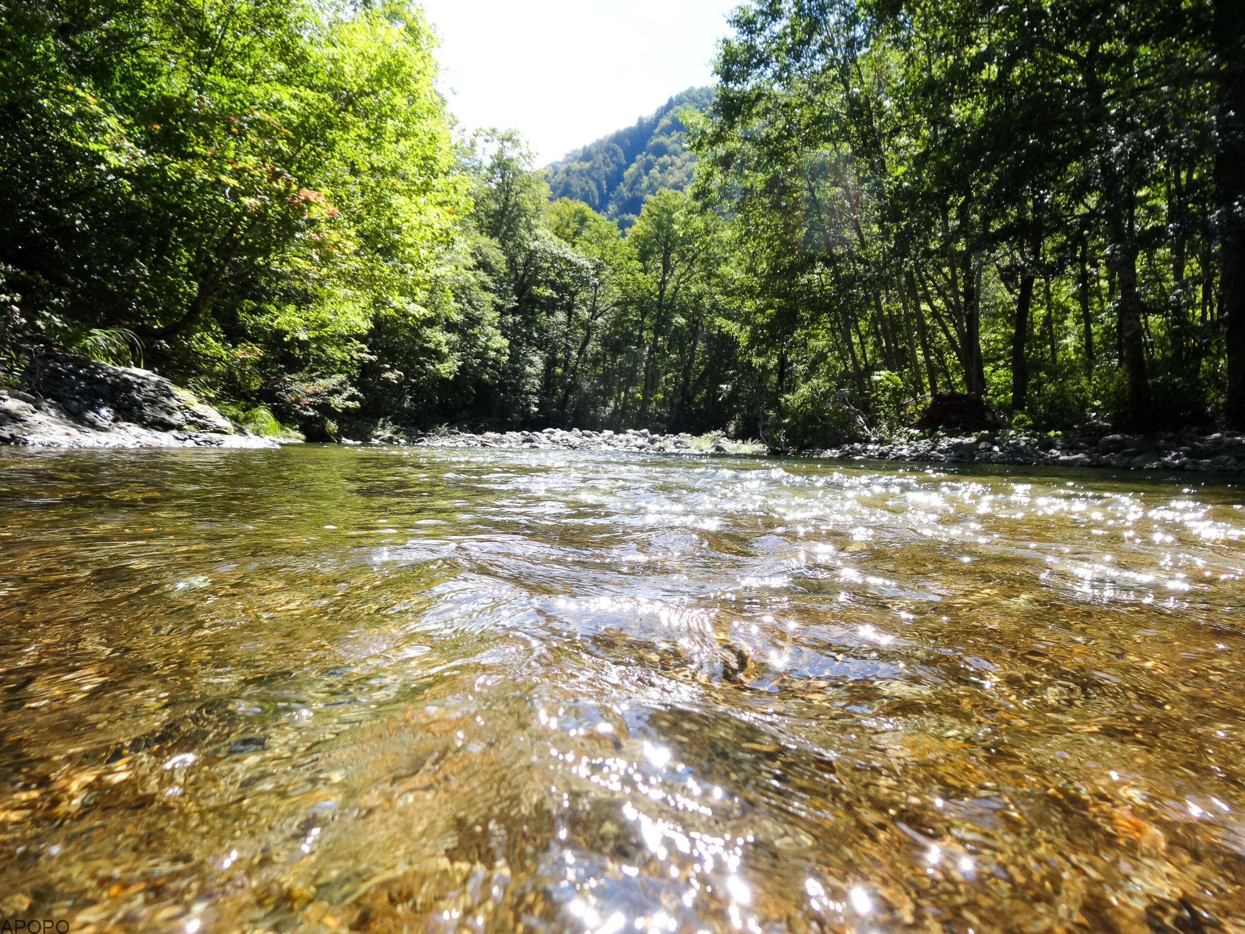 20140921-DSC05670-1-scaled_フォトギャラリー