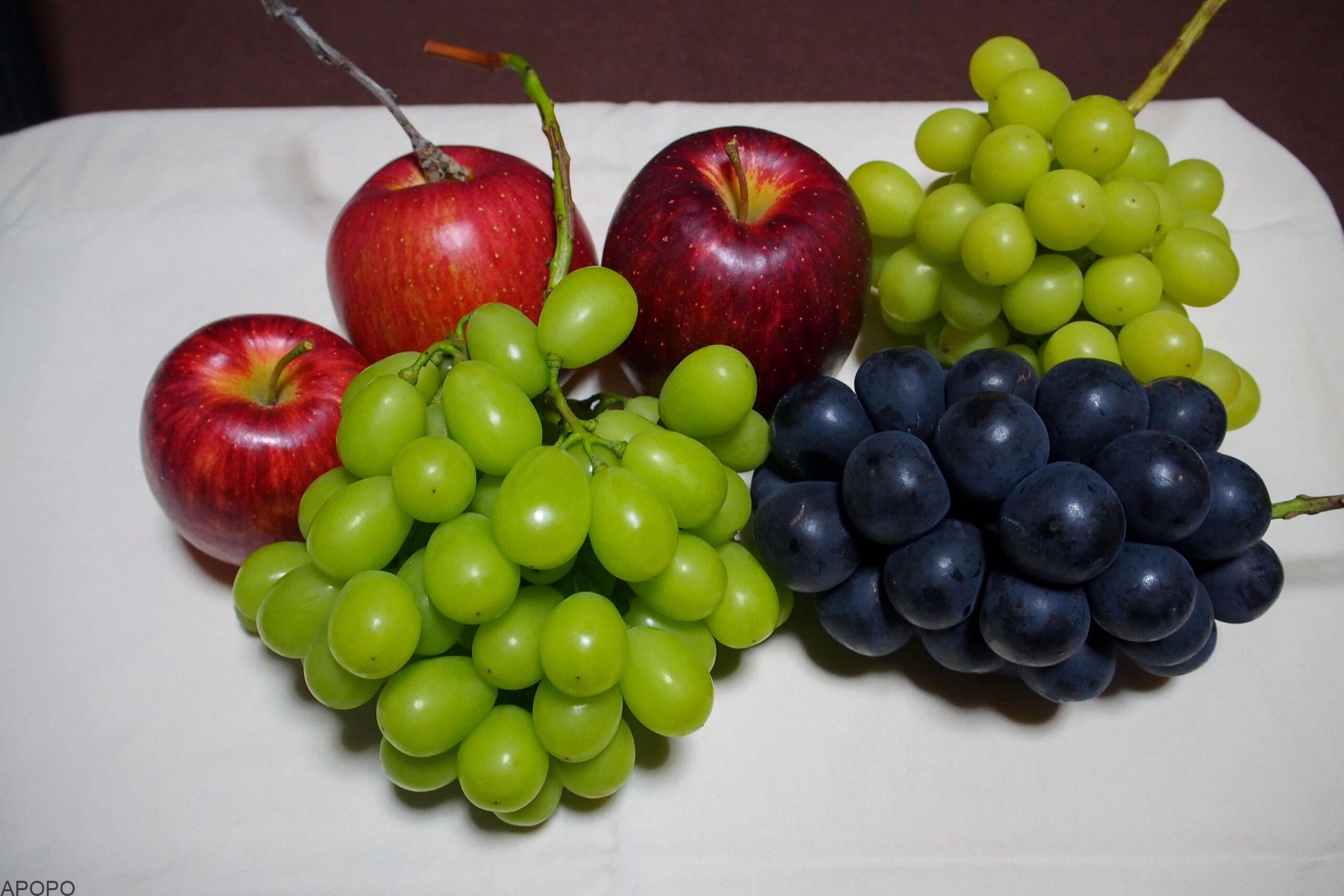 20151010-PA102324-1-1-scaled_フォトギャラリー