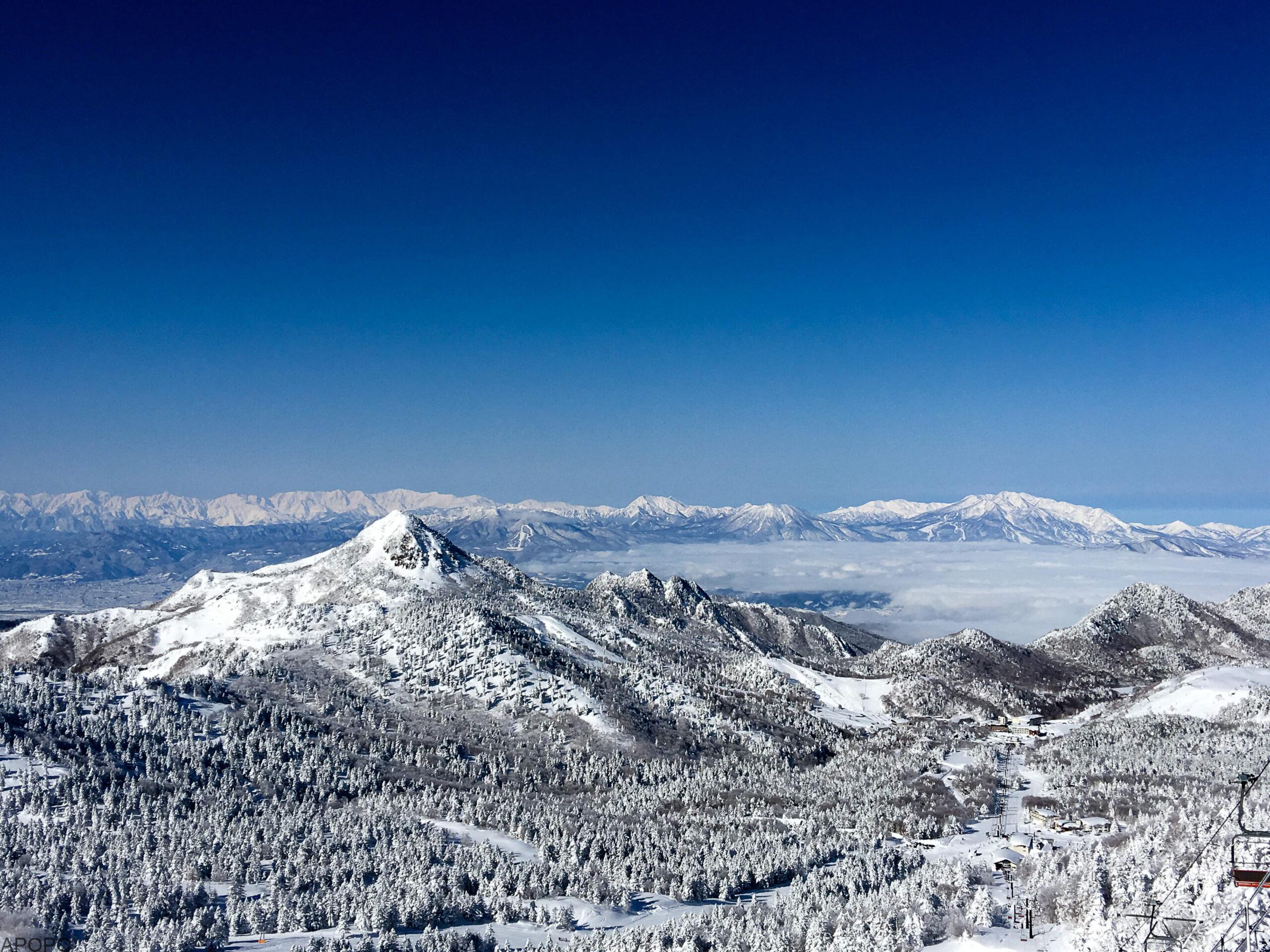 20170118-170118-160-2-scaled_フォトギャラリー