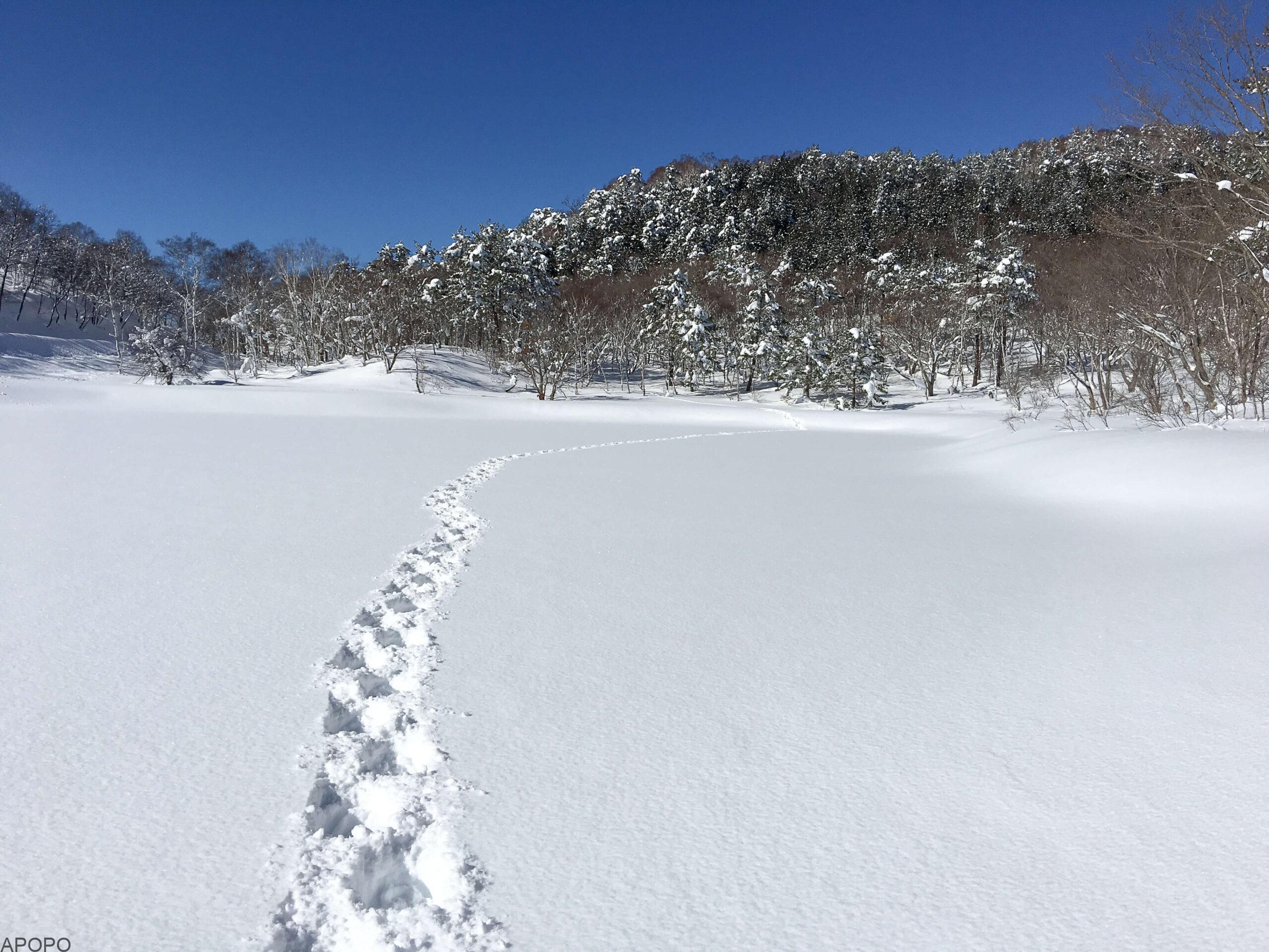 20170126-j_IMG_5366-456-1-scaled_フォトギャラリー