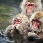 4db9c068803e92b4f51ae5dd21e46853-1-150x150_町の風景