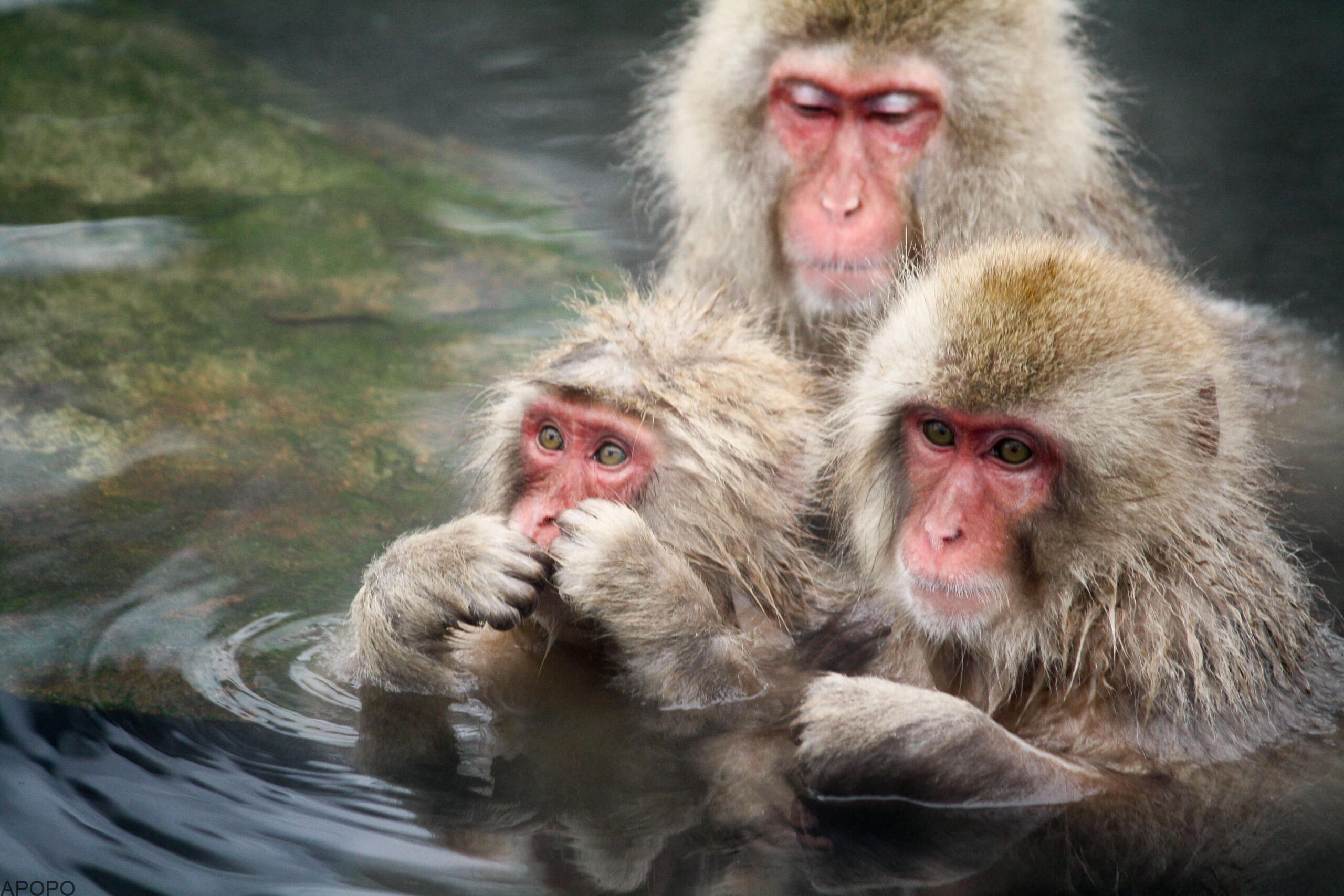 4db9c068803e92b4f51ae5dd21e46853-1-scaled_フォトギャラリー