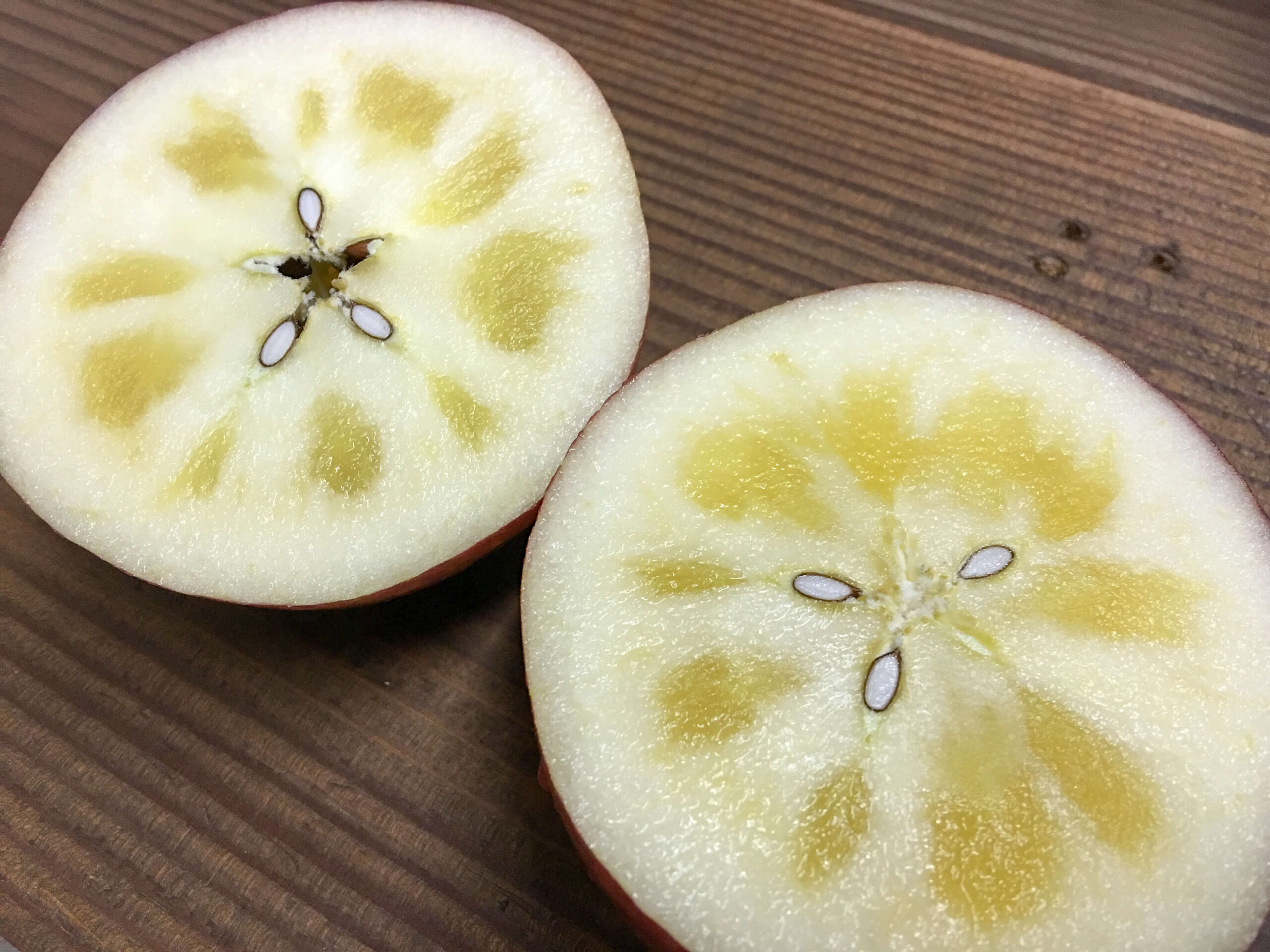 IMG_0322-scaled_フォトギャラリー