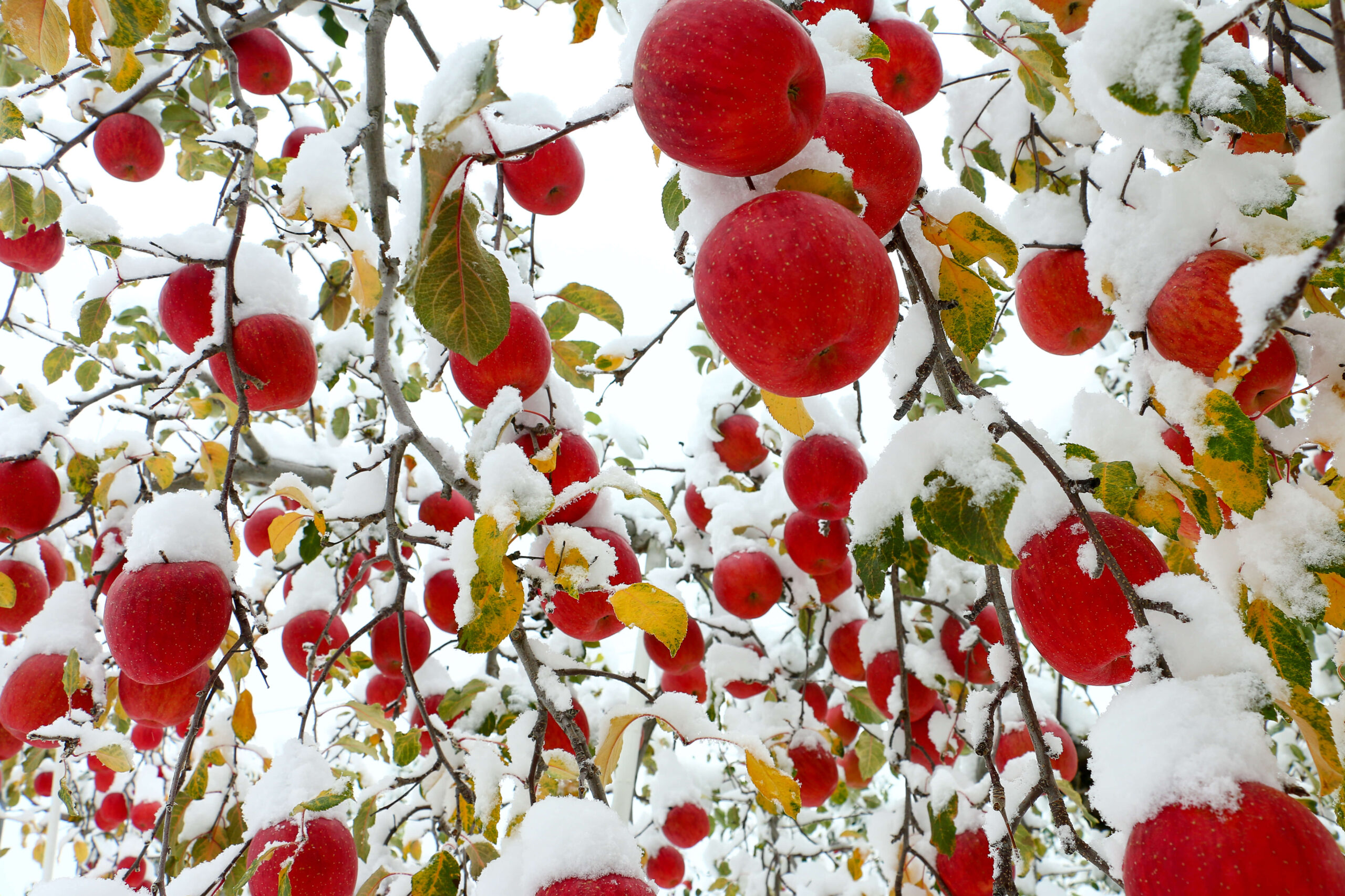 IMG_9128-scaled_フォトギャラリー