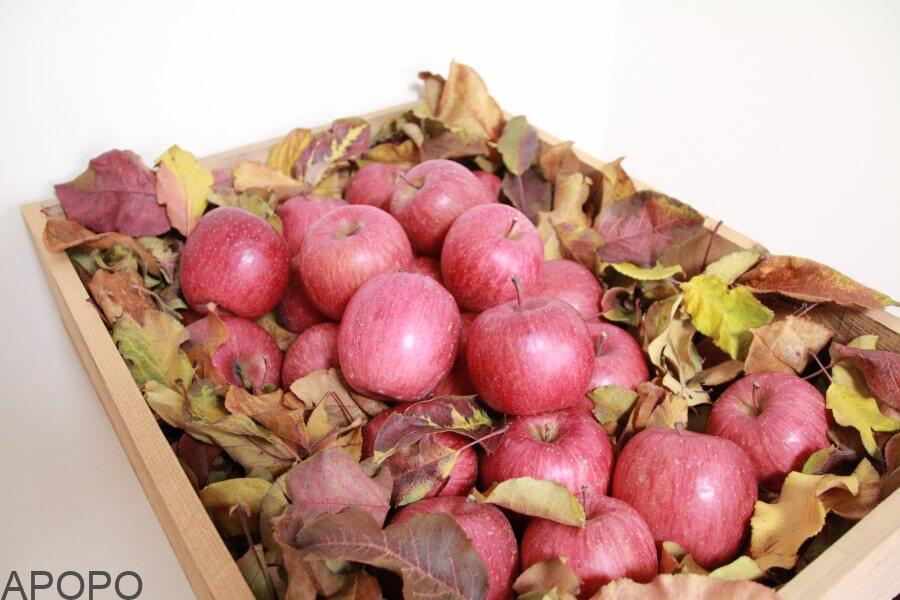 IMG_4796_フォトギャラリー