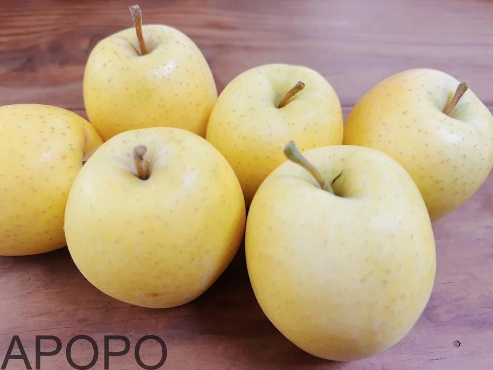 山ノ内町りんごapopo IMG_2154_”金のしずく”という黄色いりんご